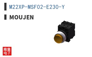 M22XP-MSF02-E230-Y
