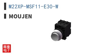 M22XP-MSF11-E30-W