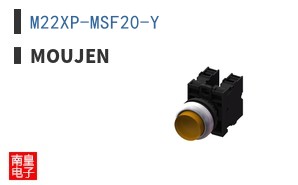 M22XP-MSF20-Y
