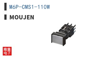M6P-CMS1-110W