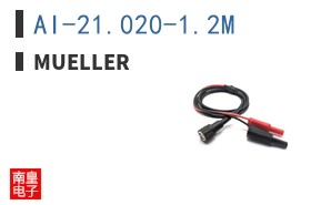AI-21.020-1.2M