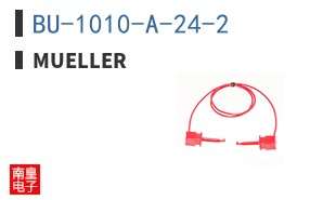 BU-1010-A-24-2