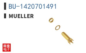 BU-1420701491