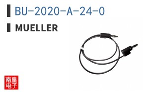 BU-2020-A-24-0