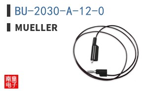 BU-2030-A-12-0