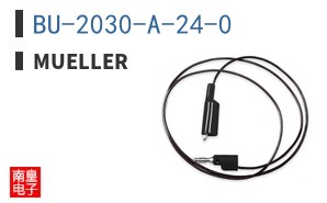 BU-2030-A-24-0