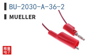 BU-2030-A-36-2