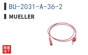 BU-2031-A-36-2