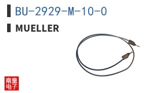 BU-2929-M-10-0