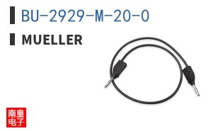 BU-2929-M-20-0