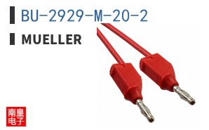 BU-2929-M-20-2