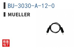 BU-3030-A-12-0