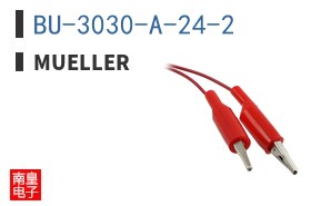 BU-3030-A-24-2