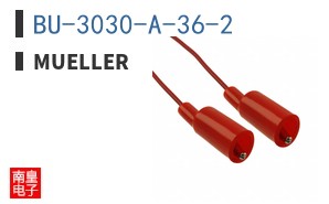 BU-3030-A-36-2