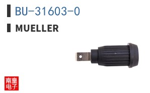 BU-31603-0