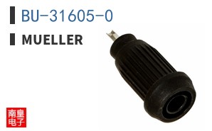 BU-31605-0