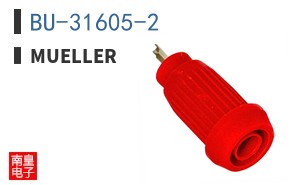 BU-31605-2