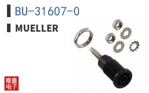 BU-31607-0