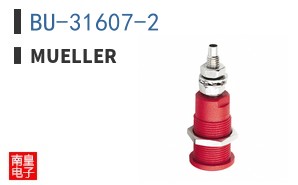 BU-31607-2