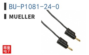 BU-P1081-24-0