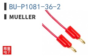 BU-P1081-36-2