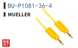 BU-P1081-36-4