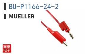 BU-P1166-24-2