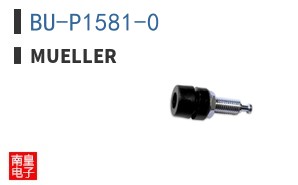 BU-P1581-0