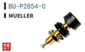 BU-P2854-0