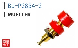 BU-P2854-2