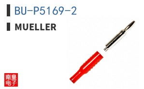 BU-P5169-2