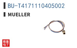BU-T4171110405002