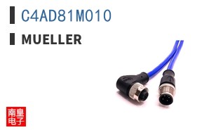 C4AD81M010