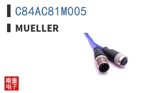 C84AC81M005