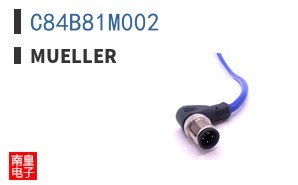 C84B81M002