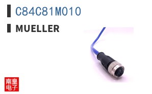 C84C81M010