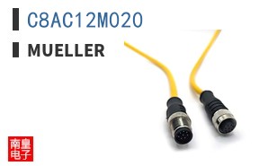 C8AC12M020