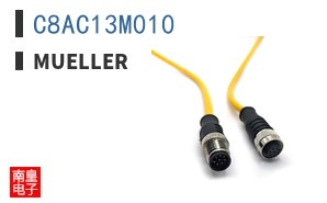 C8AC13M010