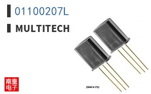 01100207L