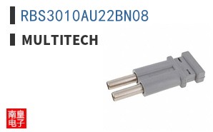 RBS3010AU22BN08