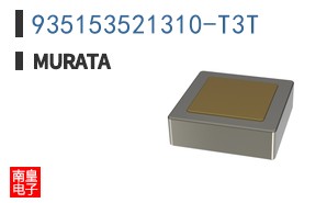 935153521310-T3T