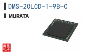 DMS-20LCD-1-9B-C