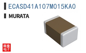 ECASD41A107M015KA0