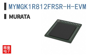 MYMGK1R812FRSR-H-EVM