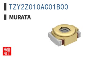 TZY2Z010AC01B00