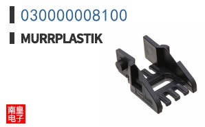 030000008100