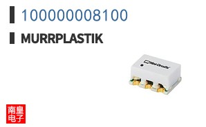 100000008100