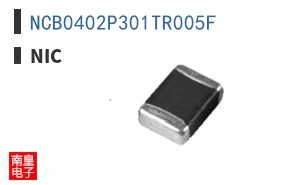 NCB0402P301TR005F