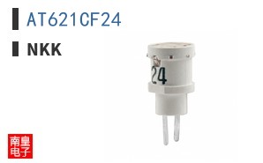 AT621CF24
