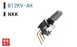 B12KV-AH